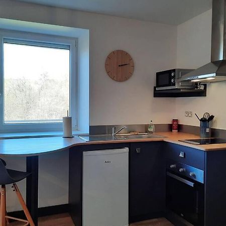 Studio Avec Vue Sur La Vezere Uzerche Exteriör bild